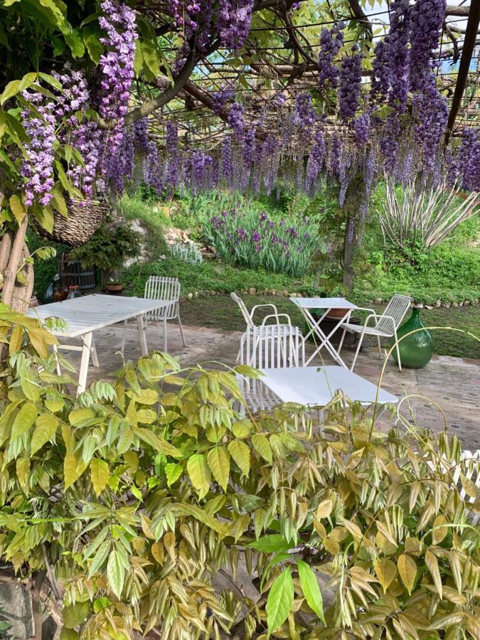 CastellʼArquato R&B Mulino Marsa Bed & Breakfast エクステリア 写真