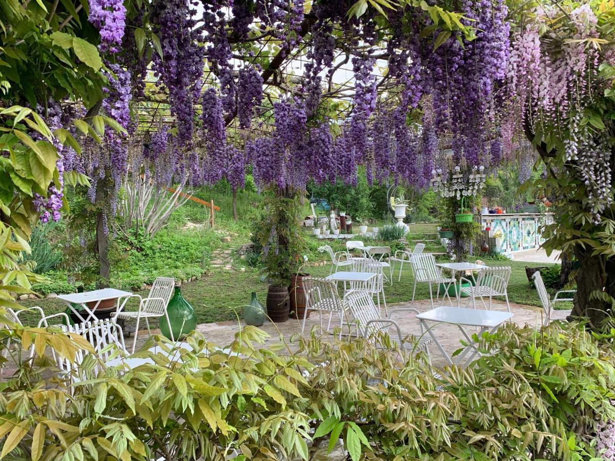 CastellʼArquato R&B Mulino Marsa Bed & Breakfast エクステリア 写真